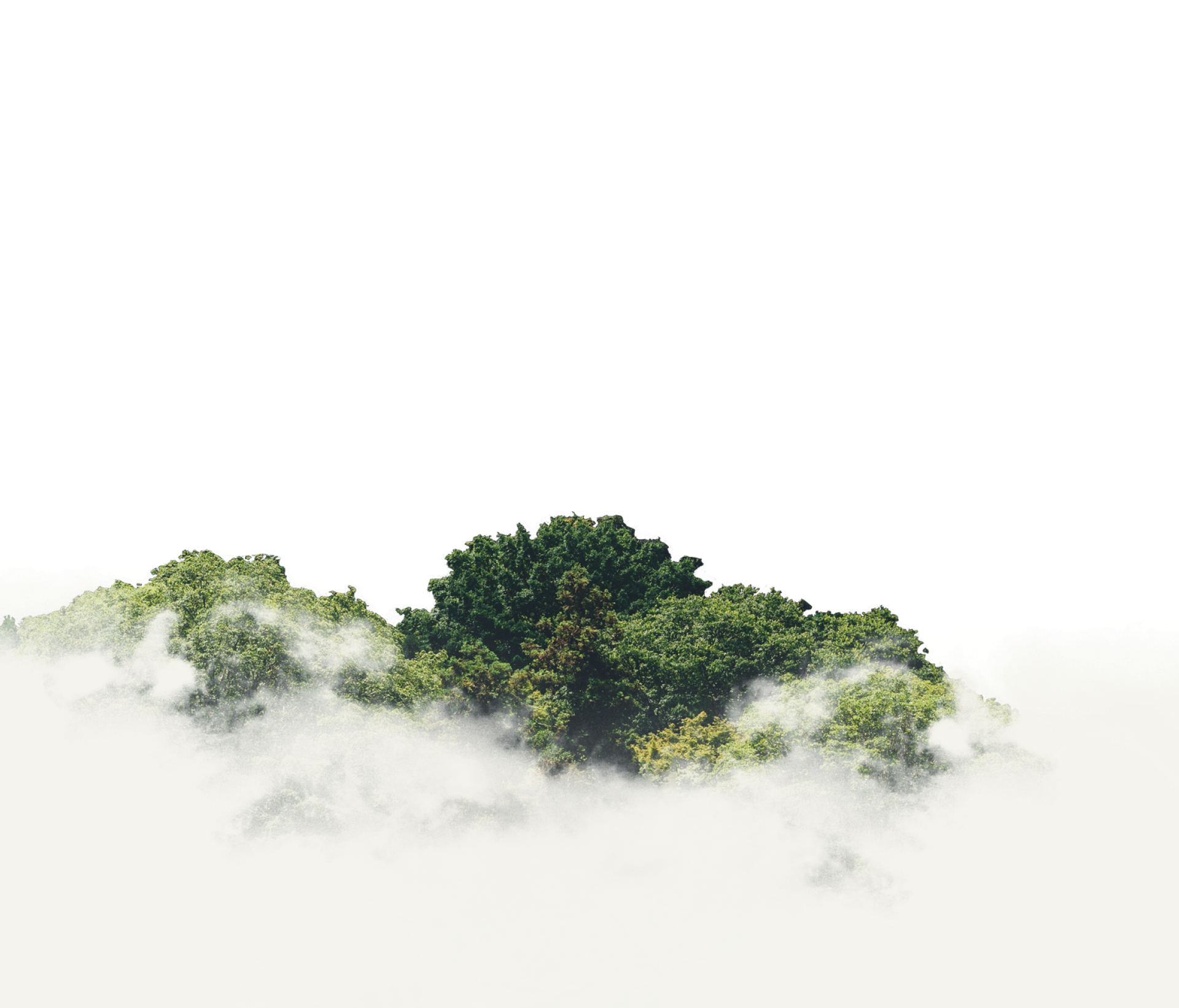 layer1