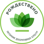 Рождественно