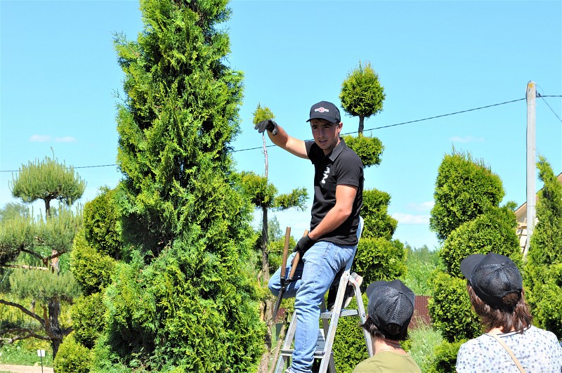 Мастер класс Нивааки