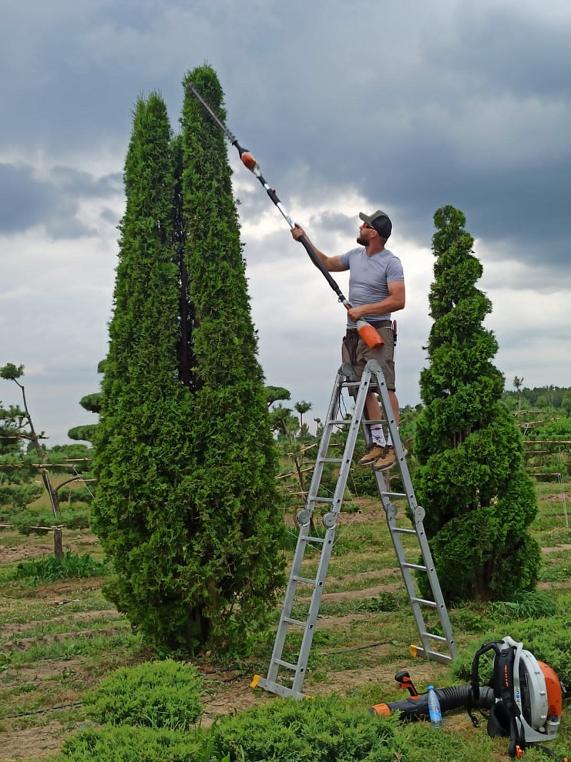 Мастер класс Нивааки