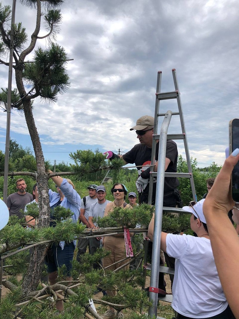 Мастер класс Нивааки