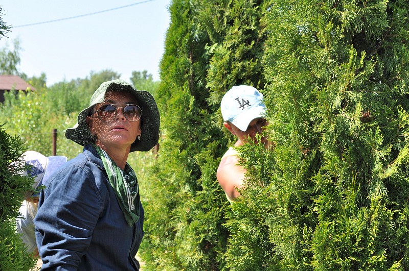 Мастер класс Нивааки