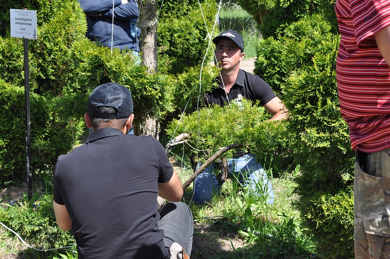 Мастер класс Нивааки