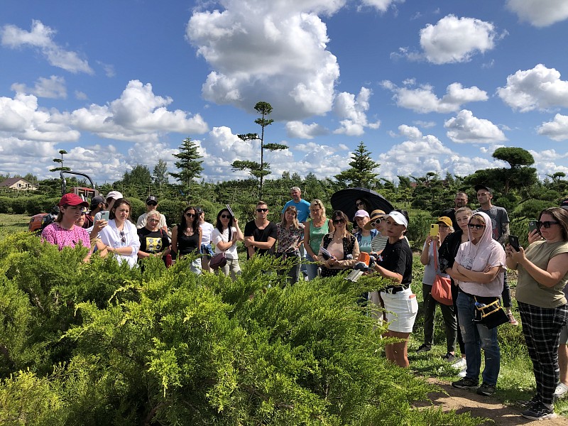 Мастер класс Нивааки