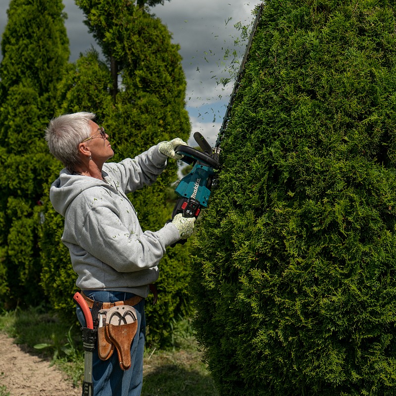 Мастер класс Нивааки