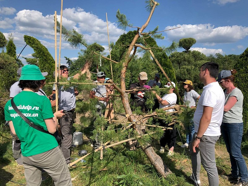 Мастер класс Нивааки