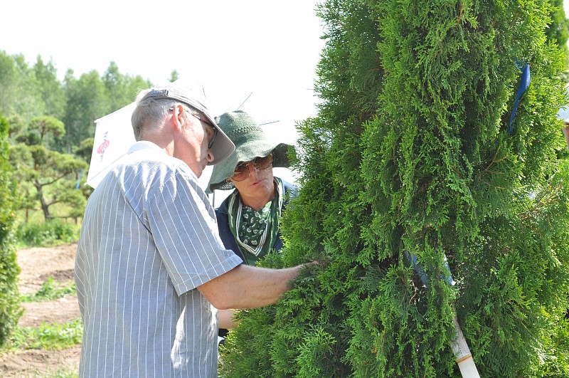 Мастер класс Нивааки