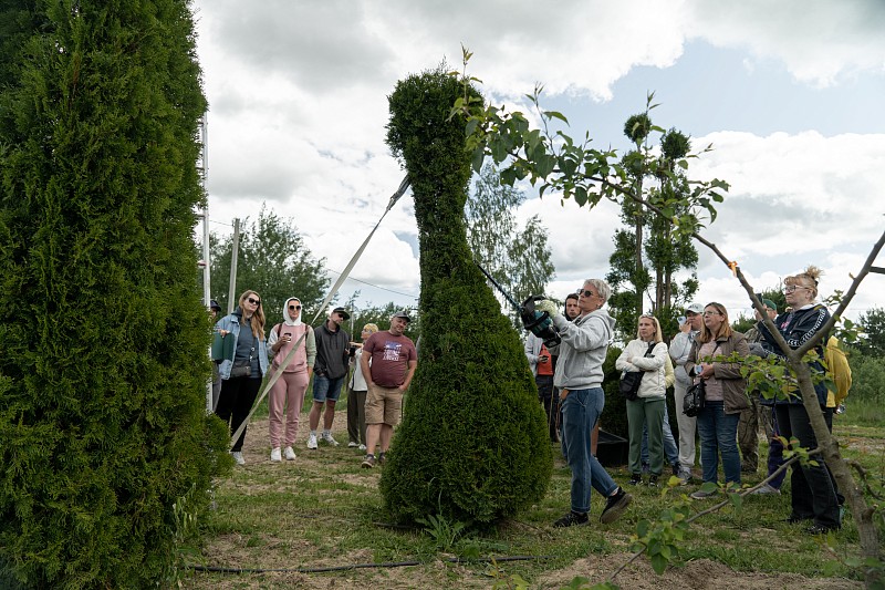 Мастер класс Ниваки