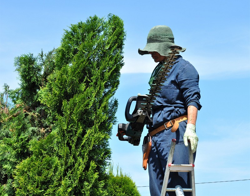 Мастер класс Нивааки